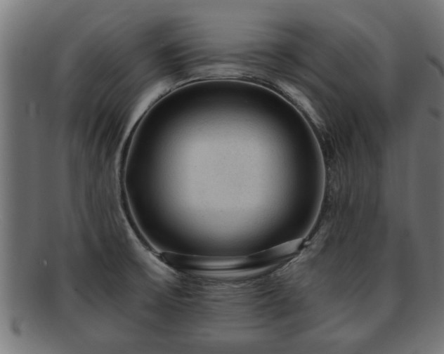 X0000091981475200709131403