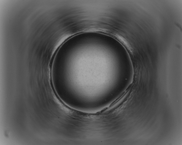 X0000091981476200709131403