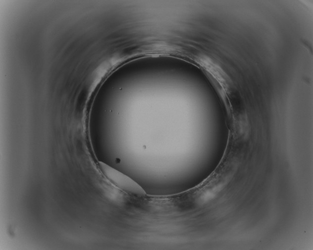 X0000091981477200709131403