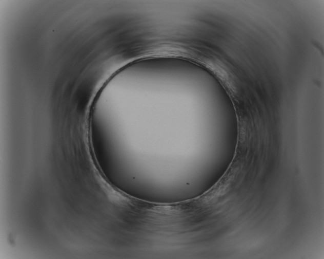 X0000091981478200709131403