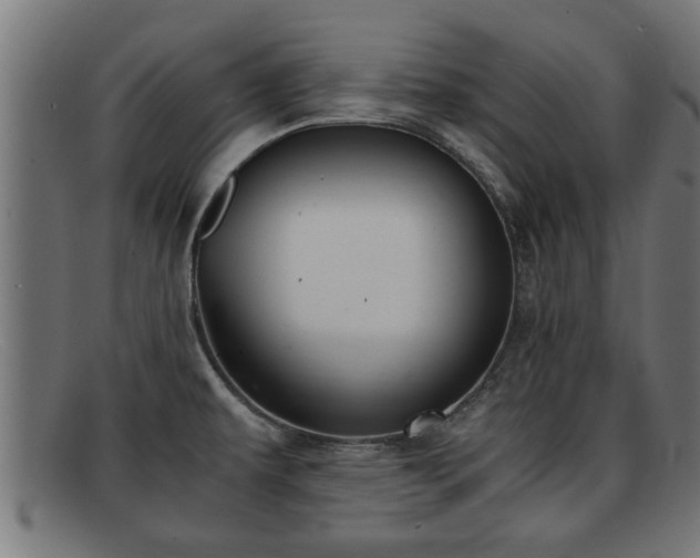 X0000091981479200709131403