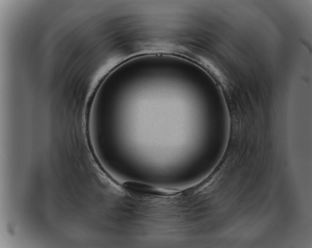 X0000091981480200709131403