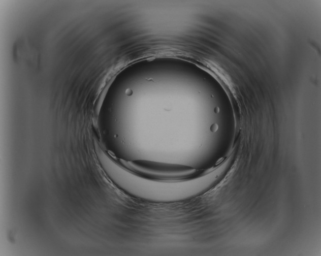 X0000091981481200709131402