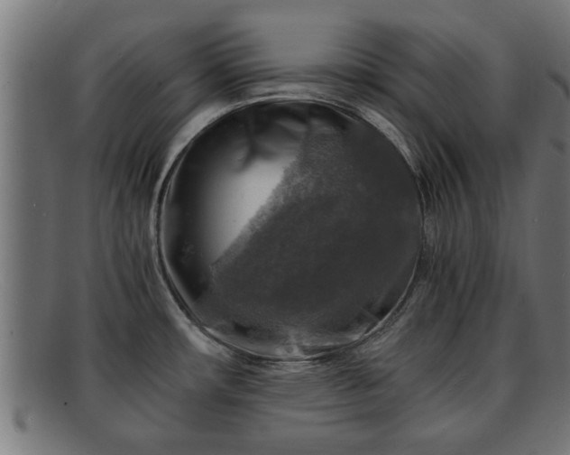 X0000091981482200709131402