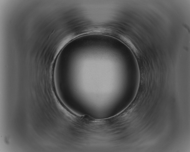 X0000091981483200709131402