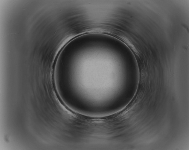 X0000091981484200709131402