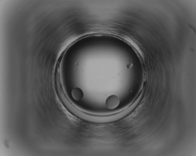 X0000091981485200709131402