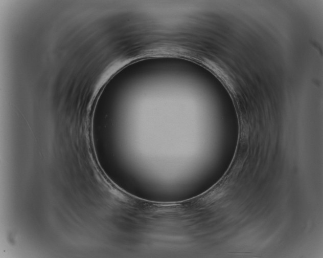 X0000091981486200709131402