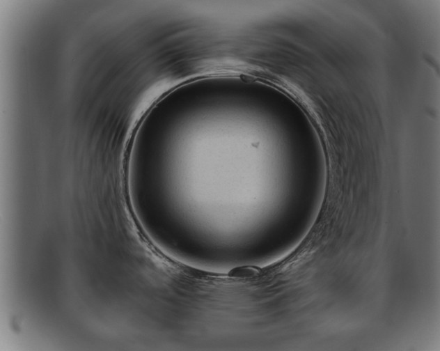 X0000091981488200709131402