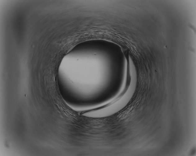 X0000091981489200709131402