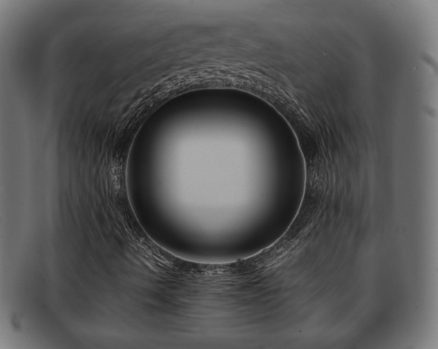 X0000091981490200709131402