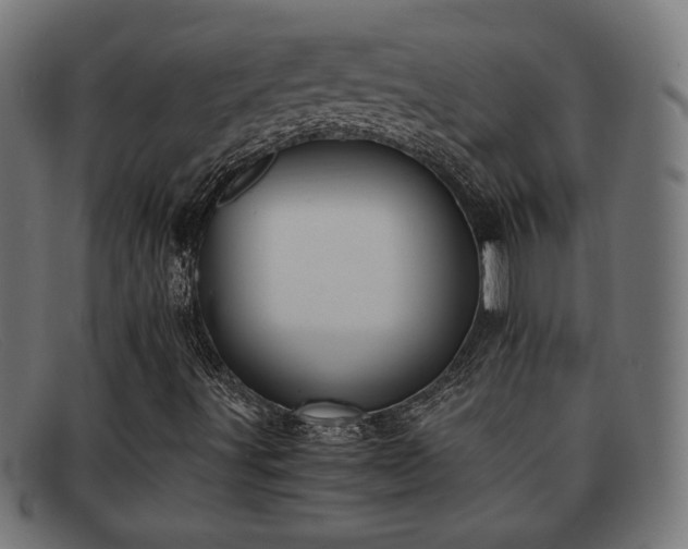 X0000091981491200709131402