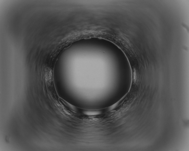 X0000091981492200709131402