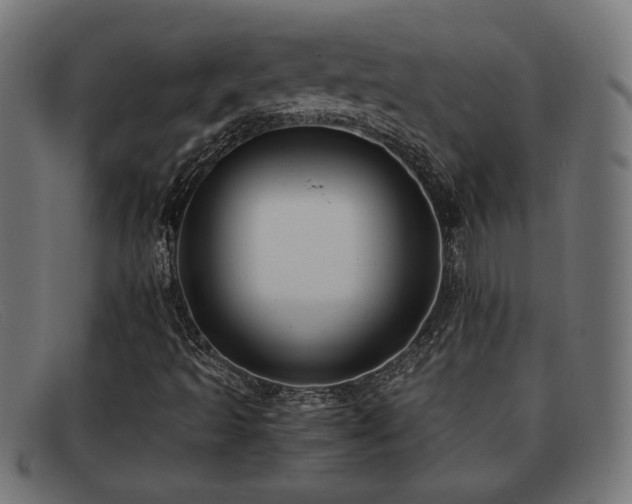 X0000091981493200709131402