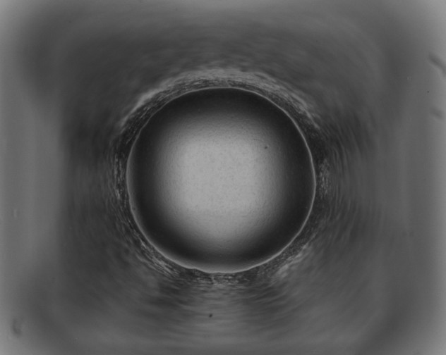 X0000091981494200709131402