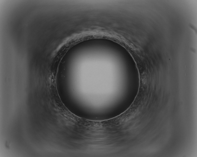 X0000091981495200709131402