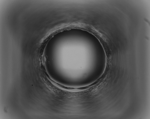 X0000091981496200709131402