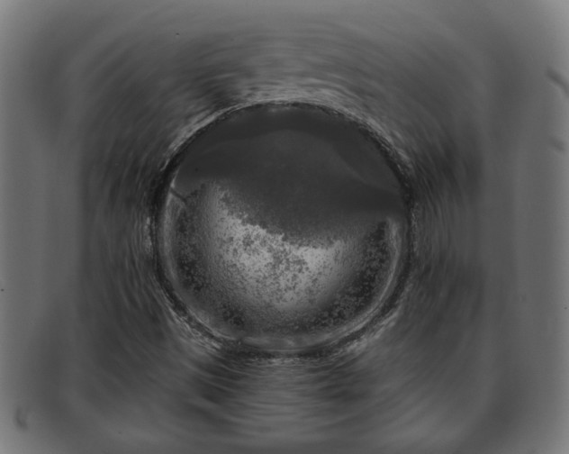 X0000091981497200709131402