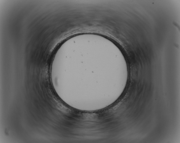 X0000091981498200709131402