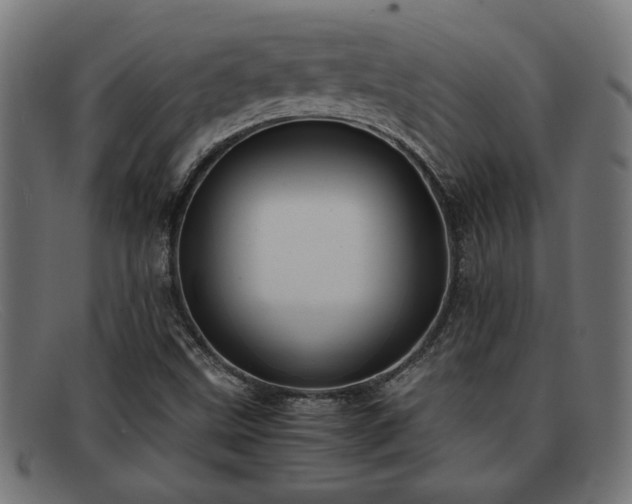 X0000091981499200709131402