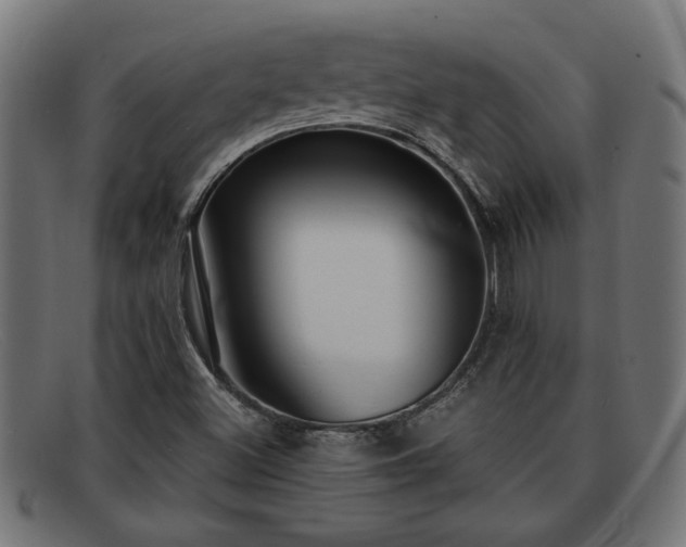 X0000091981500200709131402