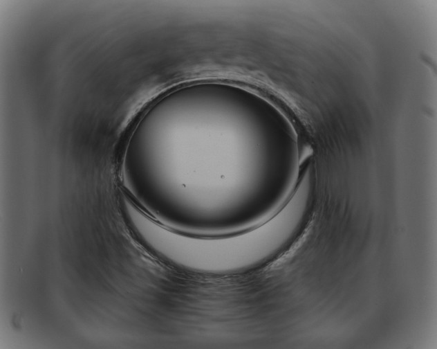 X0000091981501200709131402