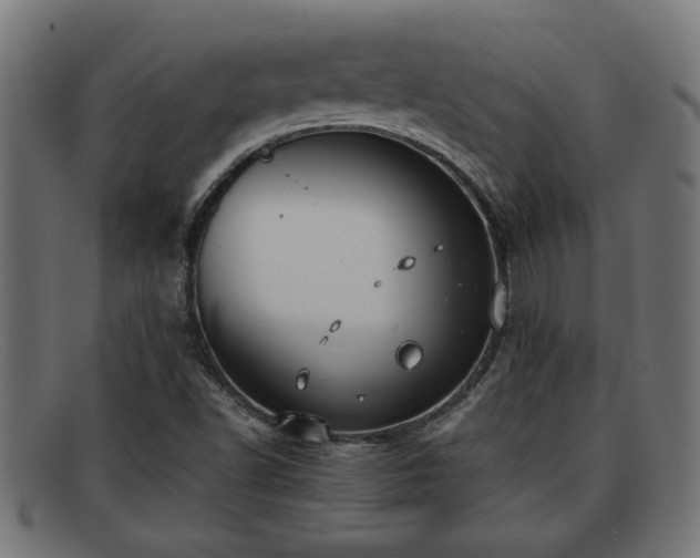 X0000091981502200709131402