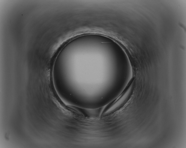 X0000091981503200709131402