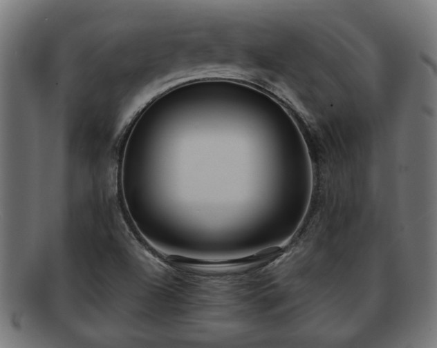 X0000091981504200709131402