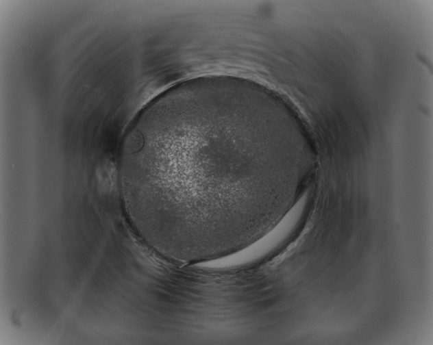 X0000091981505200709131402