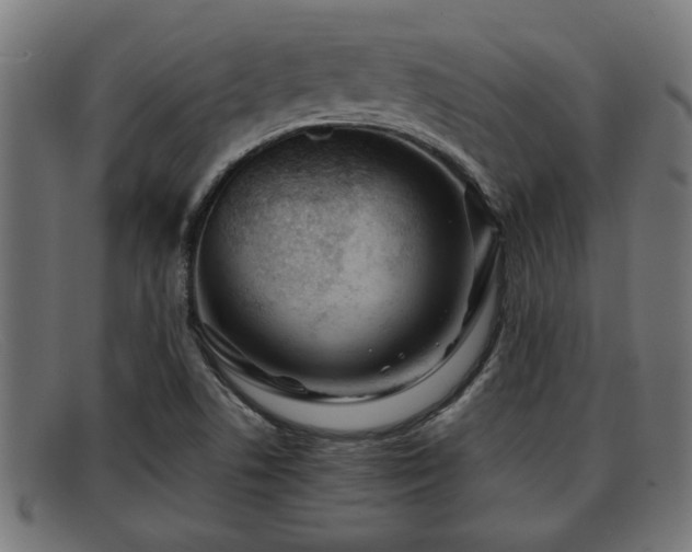 X0000091981506200709131402