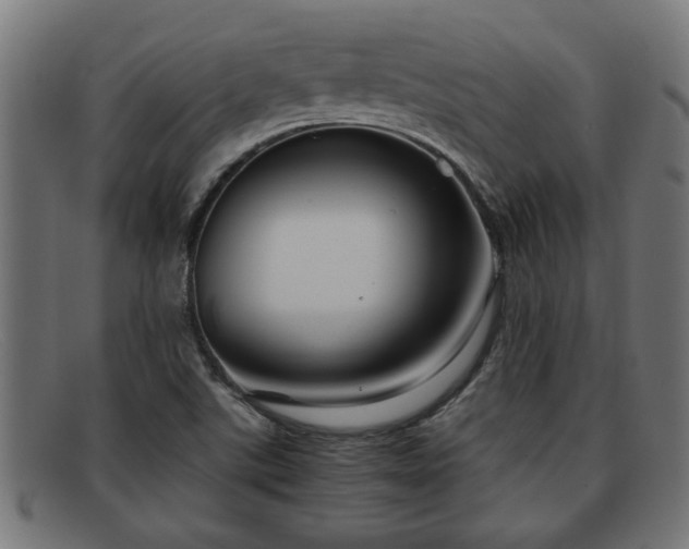 X0000091981507200709131402