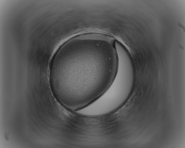 X0000091981508200709131402