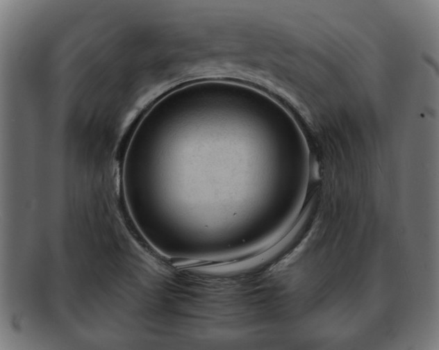 X0000091981509200709131402