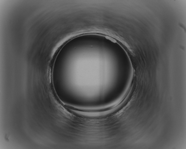 X0000091981510200709131402