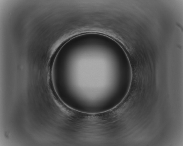 X0000091981511200709131402