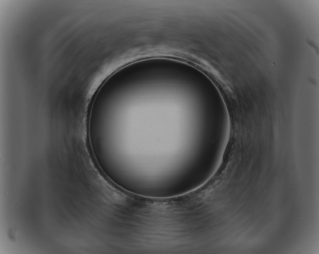 X0000091981512200709131402