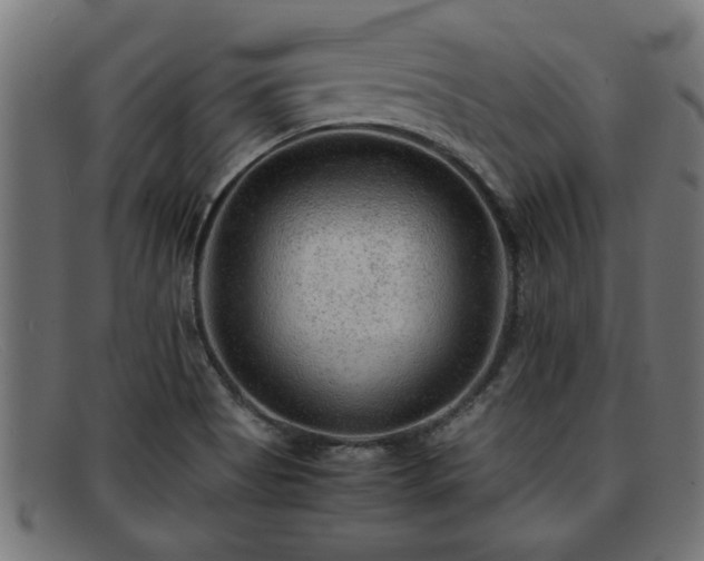 X0000091981513200709131402