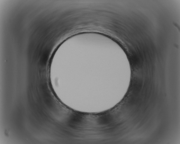 X0000091981514200709131402