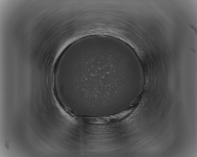 X0000091981515200709131402