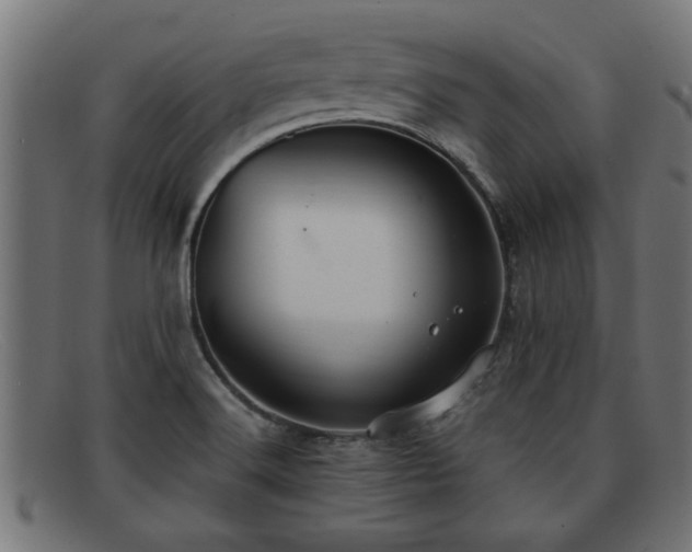 X0000091981516200709131402