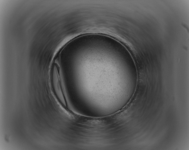 X0000091981517200709131402