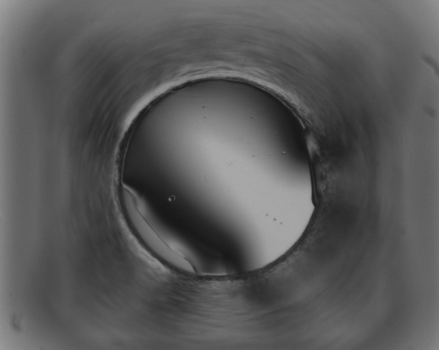 X0000091981518200709131402