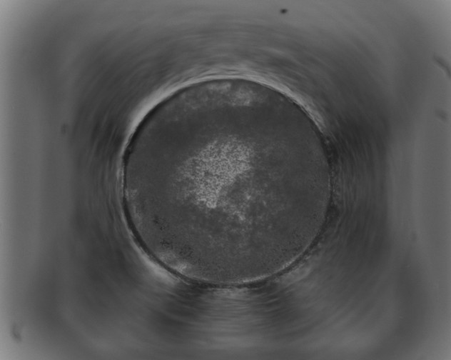 X0000091981519200709131402