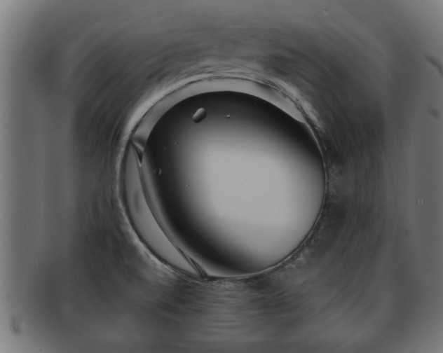 X0000091981520200709131402