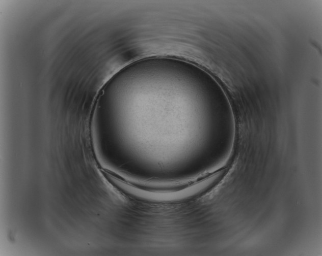 X0000091981521200709131402