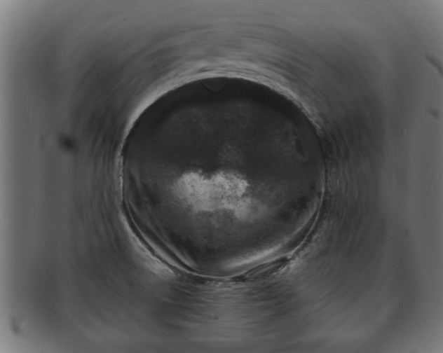 X0000091981522200709131402