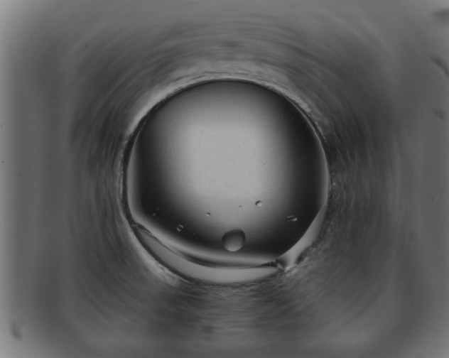 X0000091981523200709131402