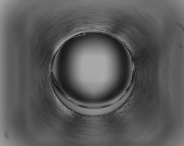 X0000091981524200709131402