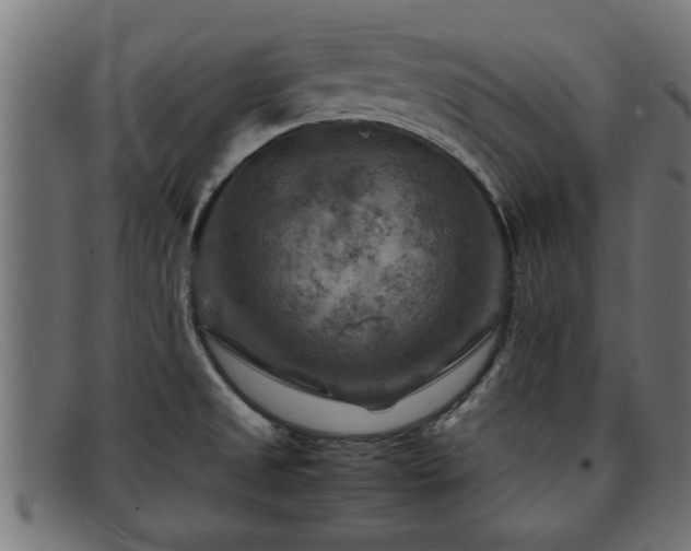 X0000091981525200709131402